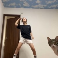 ダンス中の人と猫