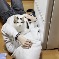 フードでお顔を隠す男の子と、お腹の上に乗る猫ちゃん（白地に黒縁模様）