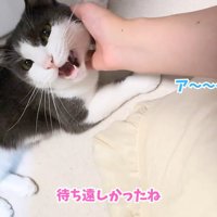 テロップ「待ち遠しかったね」