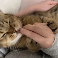 おやつを食べながらまばたきをして甘えるみにらくん