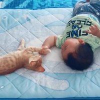 茶トラ子猫の手を掴む赤ちゃんのお尻より上