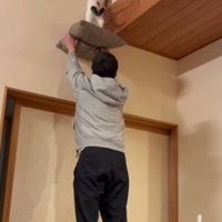 座布団を掲げる飼い主と猫