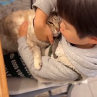 猫を抱いてなでている子供