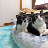 並んで乗るふたり