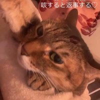 苦しそうに咳をする飼い主