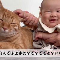赤ちゃんに撫でられる猫
