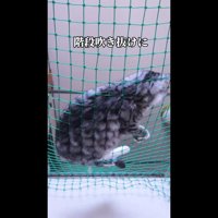 階段吹き抜けに