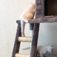 登る後ろ姿
