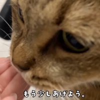 テロップ「もう少し～」