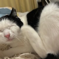 目を閉じたおこめちゃん