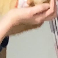 横向きに抱っこされている猫