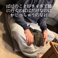 なでられる猫