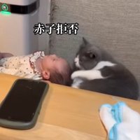 赤ちゃんの頭の近くで左前足を軽く伸ばして半目になっている猫
