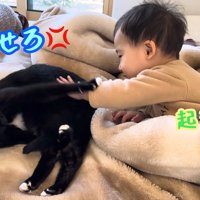 テロップ「寝かせろ」「起きて」