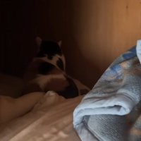 押し入れの中