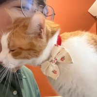 目を瞑ってスリスリ