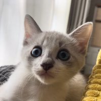 顔のアップ