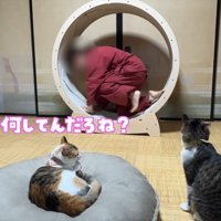 何してんだろね？