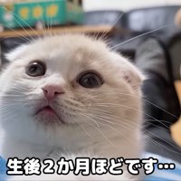 ぼーっとしているじゅんちゃん