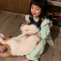 猫と遊ぶ女の子