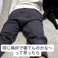 カーペットの上に寝転がる猫と男の子