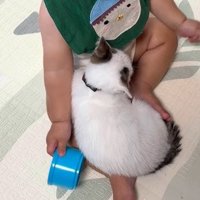 赤ちゃんの足の間で体を丸めるつなちゃん