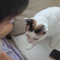 赤ちゃんと猫