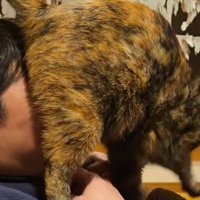 飼い主の顔におしりを押しつける猫