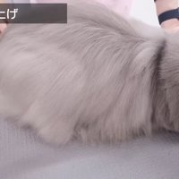 仕上げ