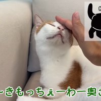 頭を撫でられる師匠