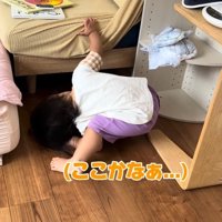 ここかなぁ…