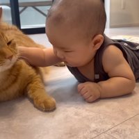 背中に手を置く赤ちゃん