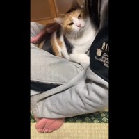 カメラ目線