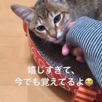 子猫を撫でる2