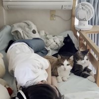 お腹側にぴったり密着