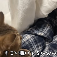 膝からのぞくみにらくん