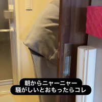 洗面所にいる男の子