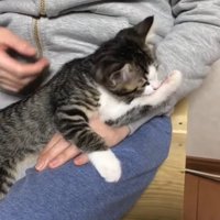 抱っこ