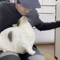 お父さんになでられながら、膝の上で顔を上げる豆大福くん