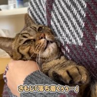 落ち着くぅぅ…