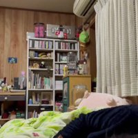 ベッドに入る猫と飼い主