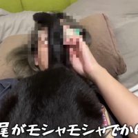 飼い主さんが痒がっている