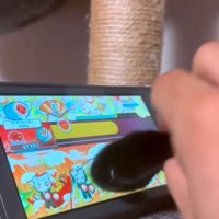 ゲームする猫の手2