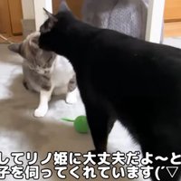 みんな一緒