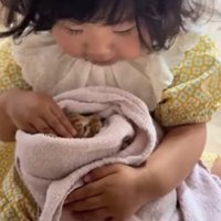 目を閉じている子猫を見ながら指3本を子猫の頭につけている子供