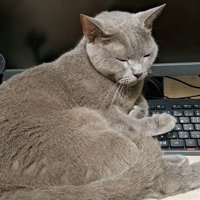目をつむった姿