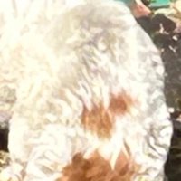 ガリガリに痩せた身体