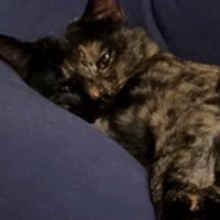 成長した小梅ちゃん