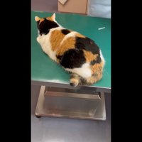 後ろから