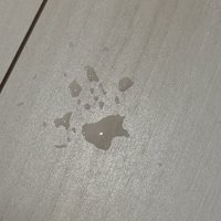 フローリングについた肉球型の水滴